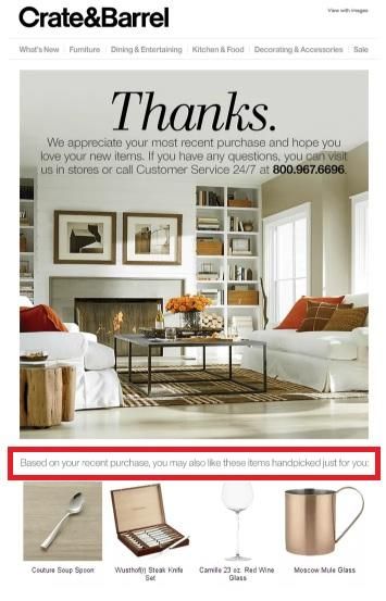 crate and barrel product recommendation email.jpg
